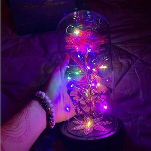 Glass Eternal Galaxy Rose